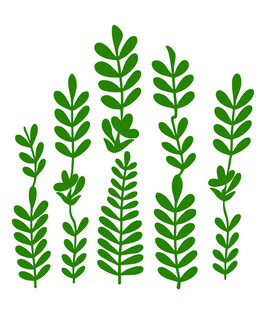 绿色植物图案清新自然风