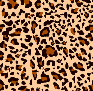 豹纹图案背景纹理