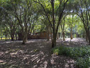 树林里的小木屋