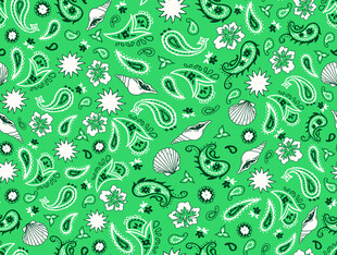 腰果花  海底生物