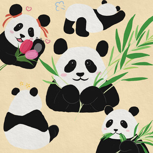 可爱熊猫与竹子图案设计