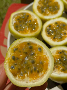 切开的百香果果肉诱人