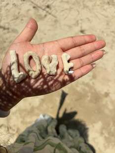 手心的LOVE 珊瑚