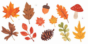 秋季落叶与自然元素集合