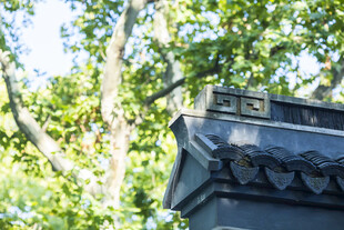 中式屋檐下的绿意景致