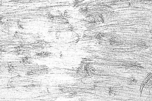 树皮纹理素描图