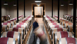 酒桶