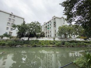 河畔居民楼景观