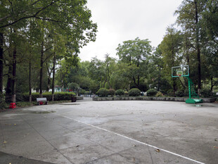 雨中空旷的户外篮球场