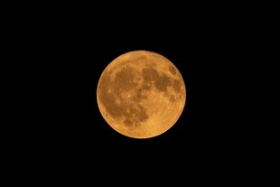 金黄满月悬于夜空
