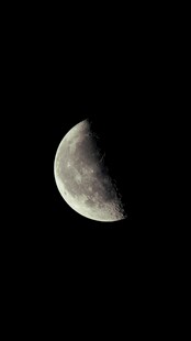 夜空中的半月