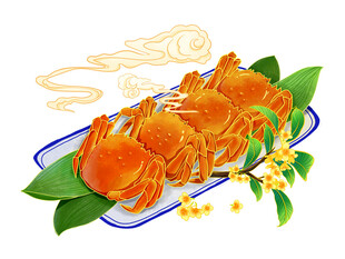 大闸蟹素材