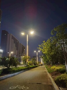 夜晚城市中的静谧骑行道