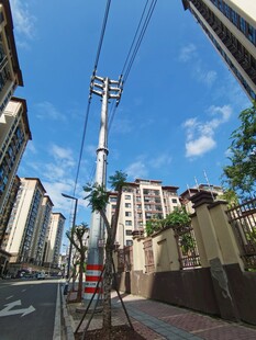 城市街道旁的电线杆景象