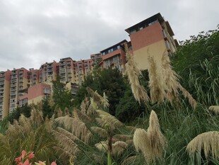 山坡上的多彩建筑群