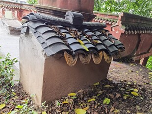 古旧瓦檐下的秋日景致