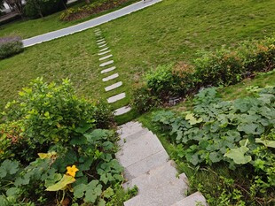 花园小径