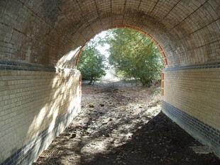 砖砌隧道口外的自然景致