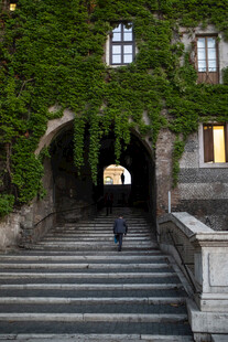 藤蔓覆盖的石阶通道