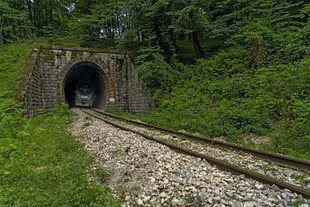 山林中的铁路隧道入口
