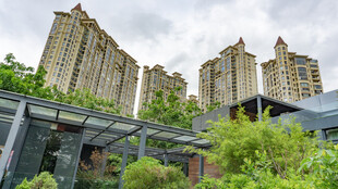 现代高层住宅与绿植景观