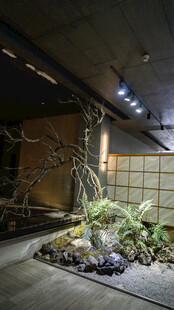 室内绿植景观布置