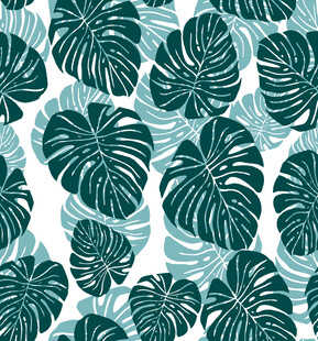 热带龟背竹叶图案背景