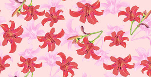 粉色花卉图案背景