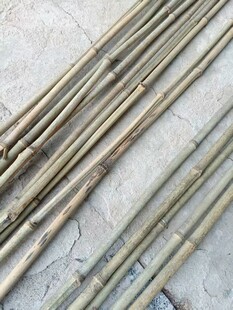 竹竿摆放整齐