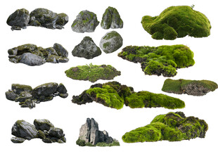 苔藓覆盖的多样岩石景观