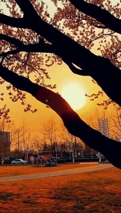 夕阳晚霞云层景观素材