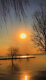 夕阳下的湖畔垂柳美景