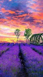 夕阳晚霞云层景观素材