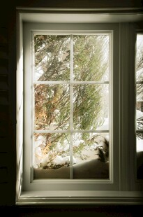 透过窗户看秋日树林