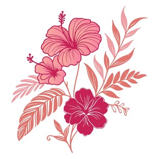 粉色扶桑花与叶片插画