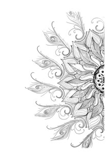 精致黑白羽毛珠宝图案