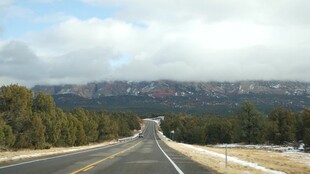 蜿蜒公路旁的山林与远山