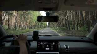 车内视角的林间驾驶景象