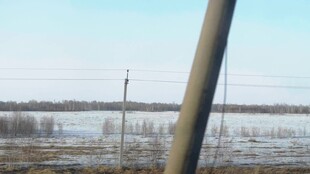 田野边的电线杆与开阔景象
