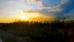 夕阳下的田野美景