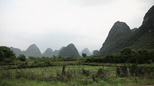 开车第一视角素材