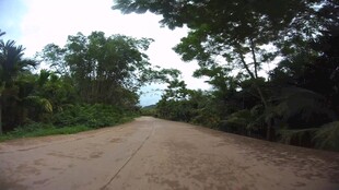 开车第一视角素材