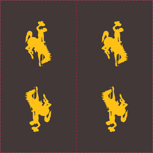 四枚金色骑马图案徽章