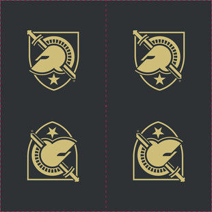 金色橄榄球徽章图案设计