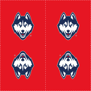 红色背景上的哈士奇图案