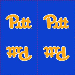 匹兹堡大学标志设计元素