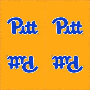 匹兹堡大学标志设计元素