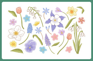 手绘多彩花卉图案