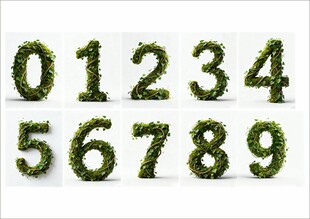 植物数字