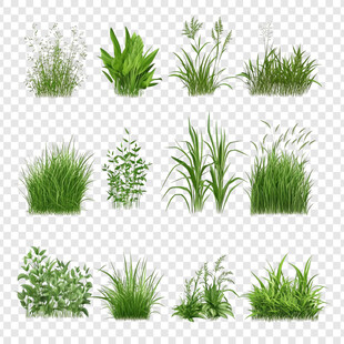 多样绿色草丛植物集合
